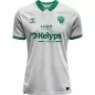 Preview: AS Saint-Étienne Auswärts Trikot - 2025-26