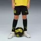 Preview: Borussia Dortmund Kinder Shorts - 2025-26