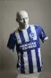 Preview: Brighton Hove & Albion Trikot - 2025-26