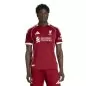 Preview: FC Liverpool Authentic Trikot - 2025-26