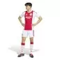 Preview: Ajax Amsterdam Trikot - 2026-27