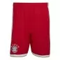Preview: FC Bayern München Shorts - 2026-27