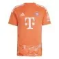Preview: FC Bayern Munich Goalkeeper Jersey - 2026-27
