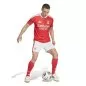 Preview: Benfica Lissabon Trikot - 2026-27