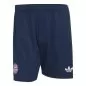 Preview: FC Bayern Munich Away Shorts - 2026-27