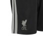 Preview: FC Liverpool Dritte Kinder Shorts - 2026-27