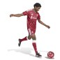 Preview: FC Liverpool Shorts - 2026-27