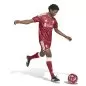 Preview: FC Liverpool Shorts - 2026-27