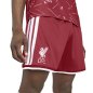 Preview: FC Liverpool Shorts - 2026-27