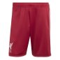 Preview: FC Liverpool Shorts - 2026-27