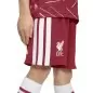 Preview: FC Liverpool Little Boys Football Kit - 2026-27