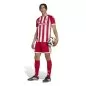 Preview: Olympiacos Pireaus Jersey - 2026-27