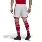 Preview: Arsenal London Shorts 2022-23