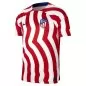 Preview: Atletico Madrid Trikot 2022-23