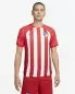 Preview: Atletico Madrid Jersey 2023-24