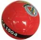Preview: Benfica Football Club Fan Ball