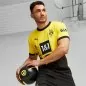Preview: Borussia Dortmund Authentic Trikot 2023-24