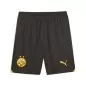 Preview: Borussia Dortmund Shorts 2023-24