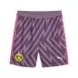 Preview: Borussia Dortmund Goalkeeper Shorts 2023-24 - Purple Charcoal