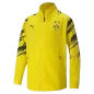 Preview: BVB Stadium Jacket 2020-21 - yellow