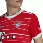 Preview: FC Bayern Munich Women Jersey 2022-23