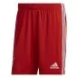 Mobile Preview: FC Bayern München Shorts 2022-23