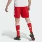 Preview: FC Bayern München Shorts - 2023-24