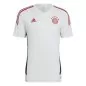 Mobile Preview: FC Bayern München Training Jersey 2022-23 - weiss