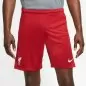 Preview: FC Liverpool Shorts 2020-21