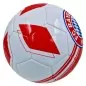 Preview: FC Bayern München Fan Ball