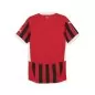 Preview: AC Milan Authentic Jersey - 2024-25