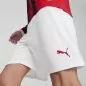 Preview: AC Milan Shorts - 2024-25