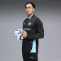 Preview: Puma OM Training 14 Zip Top - puma black