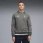 Preview: Puma BMG FtblKING Drill Top Sweater - flat medium gray