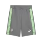 Preview: Puma BMG FtblKING Sweat Shorts - flat medium gray