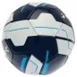Preview: Tottenham Hotspur Football Club Fan Ball