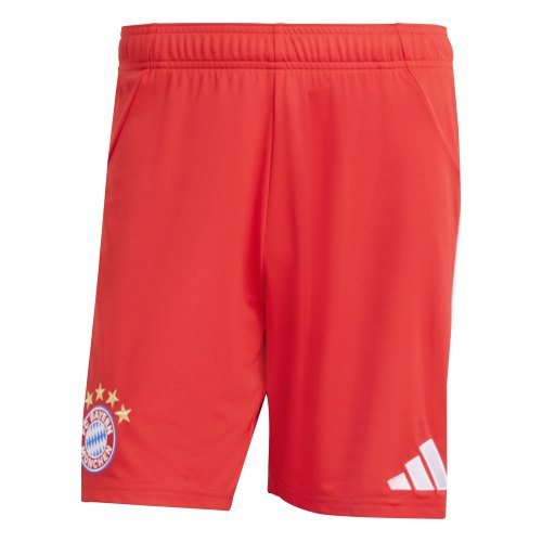 Preview: FC Bayern München Shorts - 2025-26
