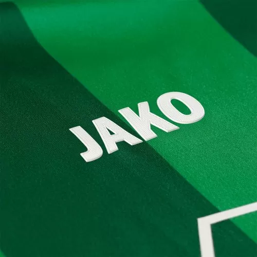 Preussen Münster Jersey - 2025-26