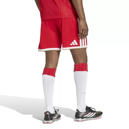 FC Bayern München Shorts - 2026-27