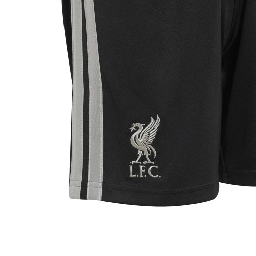 Preview: FC Liverpool Dritte Kinder Shorts - 2026-27