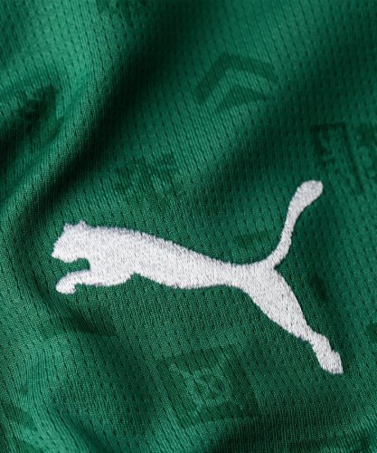 Preview: FC St. Gallen Kinder Trikot - 2026-27