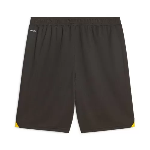 Borussia Dortmund Shorts 2023-24