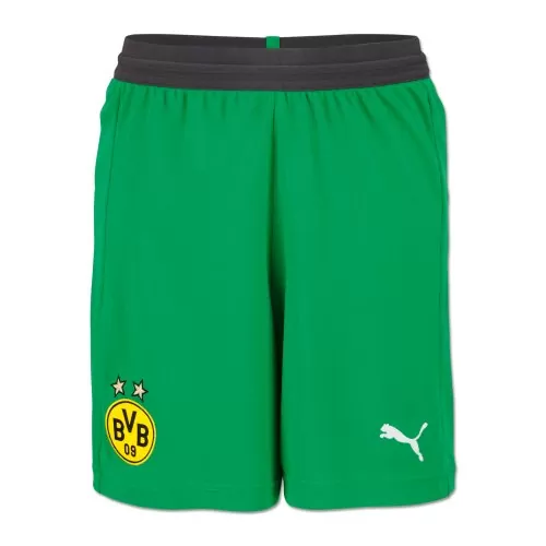 Borussia Dortmund Torwart Shorts 2018-19 - grün