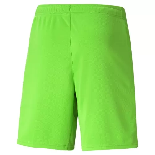 Borussia Dortmund Torwart Shorts 2021-22 - grün