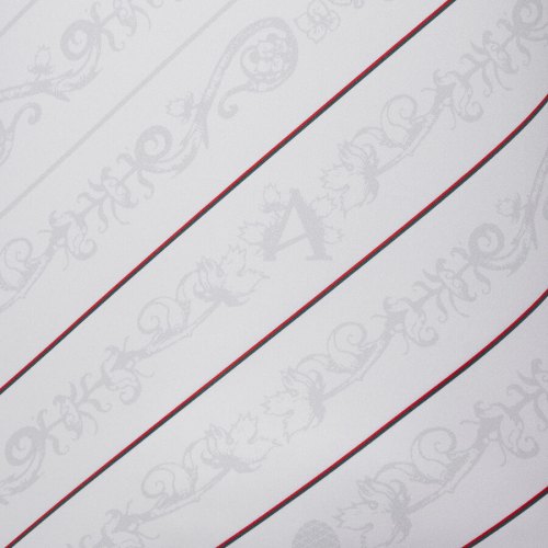 Preview: FC Augsburg Trikot - 2024-25