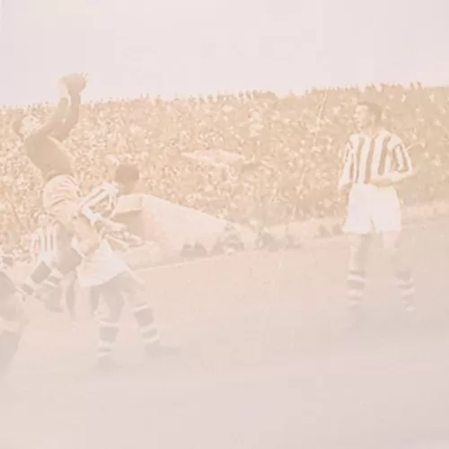 Roter Stern Belgrad Drittes Trikot - 2024-25