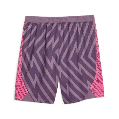 Borussia Dortmund Torwart Shorts - 2023-24 - Purple Charcoal