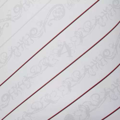 FC Augsburg Trikot - 2024-25