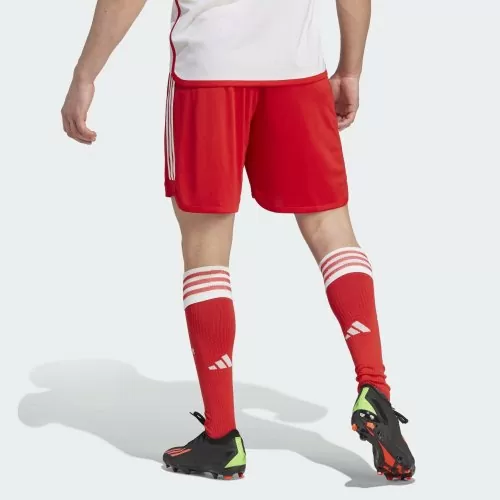 FC Bayern München Shorts - 2023-24