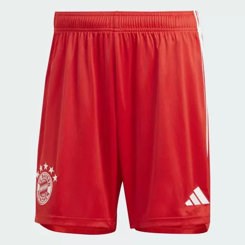 FC Bayern München Shorts - 2023-24